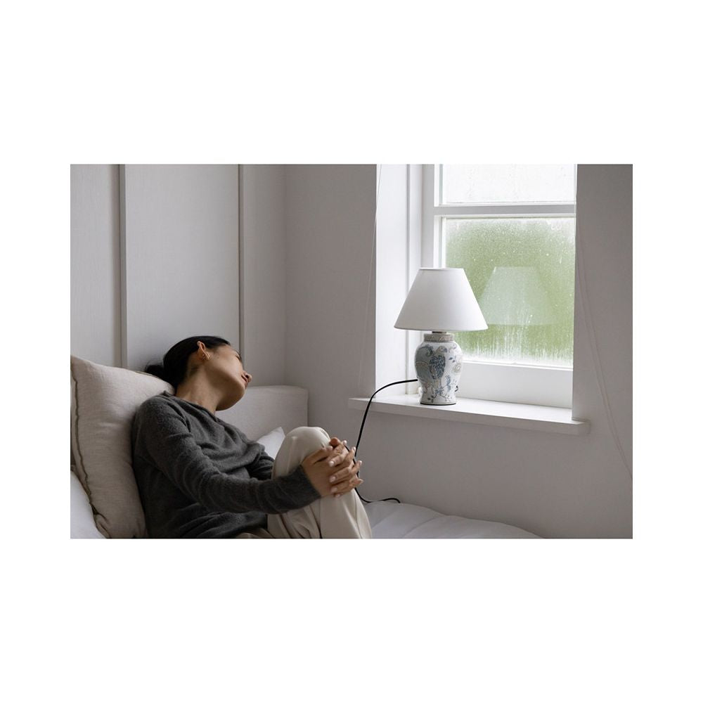 Ruonai Home Stationery Series Oriental Paris Hand drawn Ceramic Parrot Blue Study Room Desk Lamp Atmosphere Ornament image 5