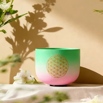 92fddc41-383f-416a-9920-62f623a19d6b