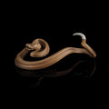 Buy Brass Rattlesnake Pen Holder
